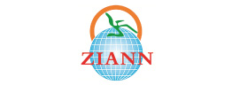 Ziann